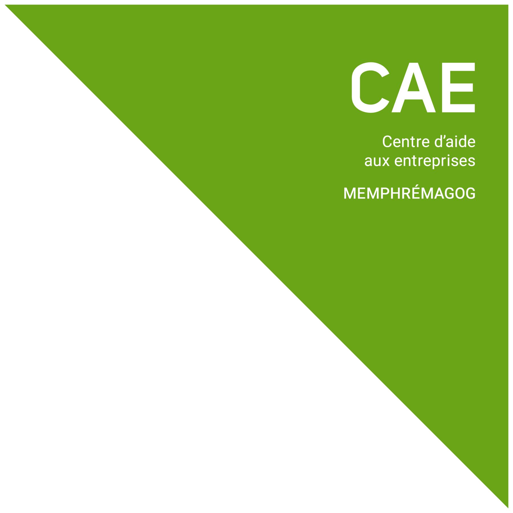 CAE Memphrémagog - Major partner of Magog Technopole